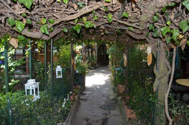 برنامج رحلة قرية بولونيز كوي