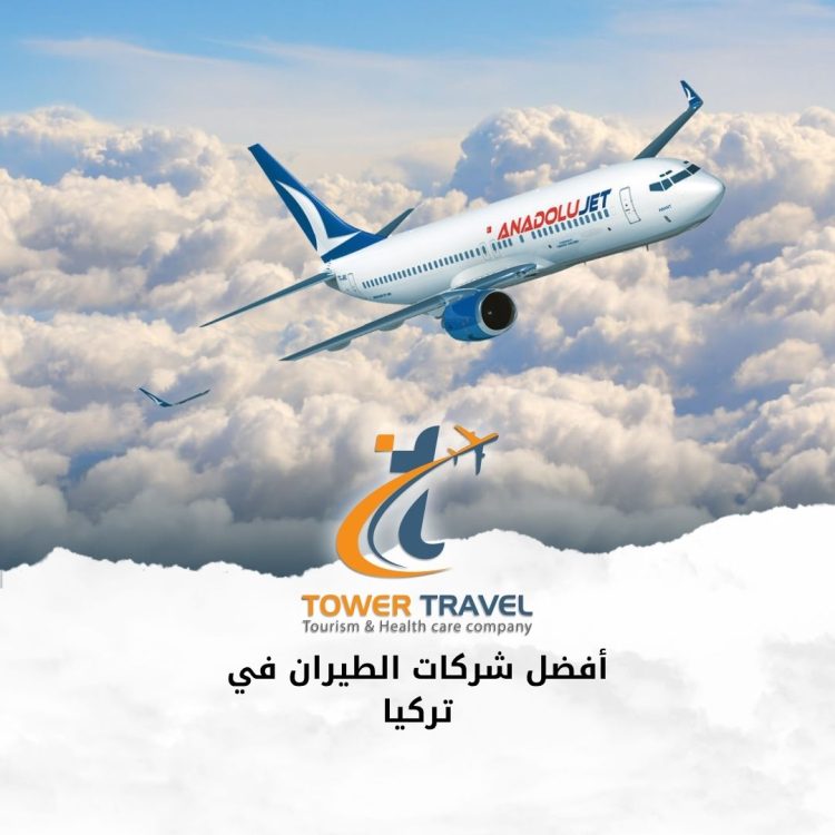 أفضل شركات الطيران في تركيا