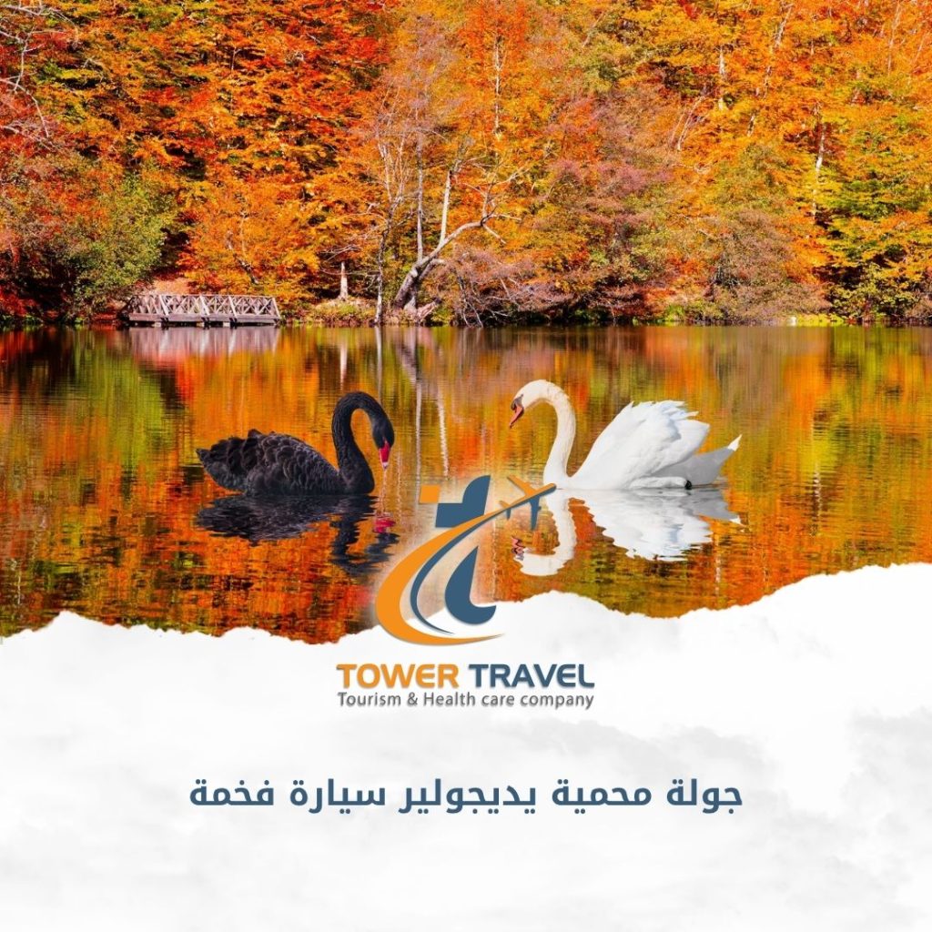 جولة محمية يديجولير سيارة فخمة