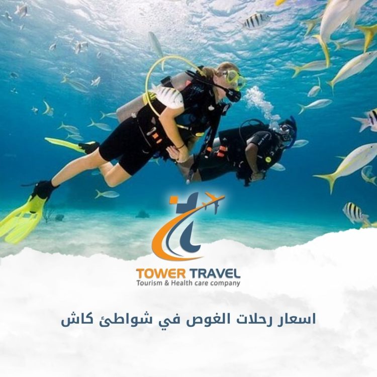 اسعار رحلات الغوص في شواطئ كاش