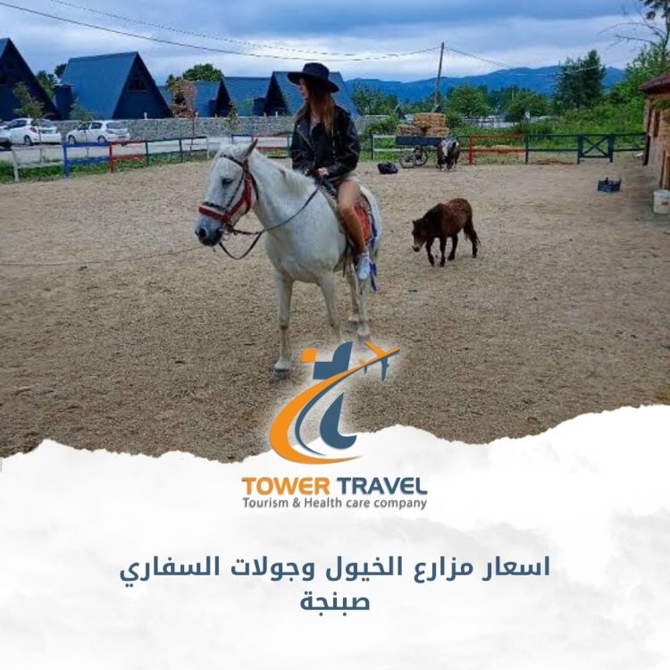 اسعار مزارع الخيول وجولات السفاري صبنجة